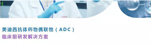 合乐HL8抗体药物偶联物(ADC)临床前研发解决方案.png 合乐HL8抗体药物偶联物(ADC)临床前研发解决方案.png