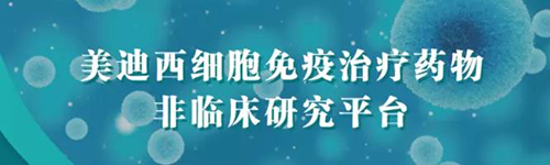 合乐HL8细胞免疫治疗药物非临床研究平台.png 合乐HL8细胞免疫治疗药物非临床研究平台.png