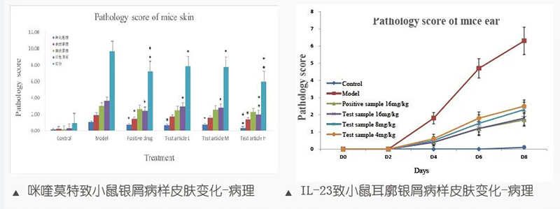 图8：咪喹莫特致小鼠银屑病样皮肤变化-病理-&-IL-23致小鼠耳廓银屑病样皮肤变化-病理.jpg