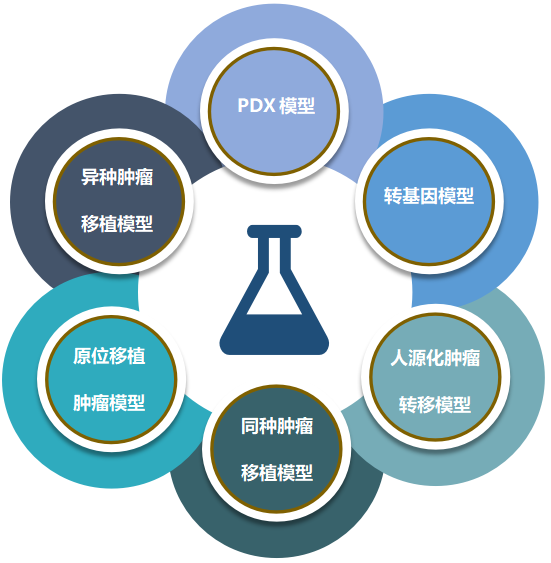 合乐HL8致力于为客户提供成熟的评估ADC体内药效的肿瘤模型.png 合乐HL8致力于为客户提供成熟的评估ADC体内药效的肿瘤模型.png