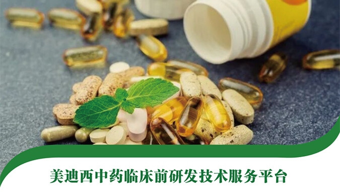 合乐HL8中药临床前研发技术服务平台-封面.jpg
