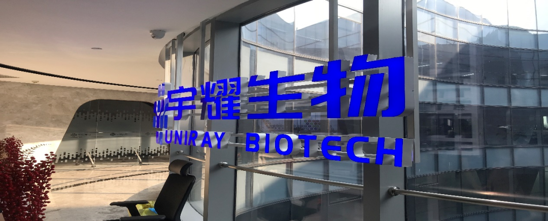 合乐HL8助力 | 宇耀生物STAT3双磷酸化位点抑制剂YY201成功完成中美双报